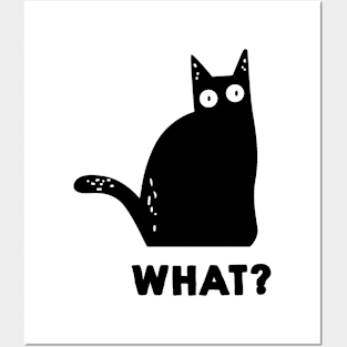 Cat What Funny Posters and Art